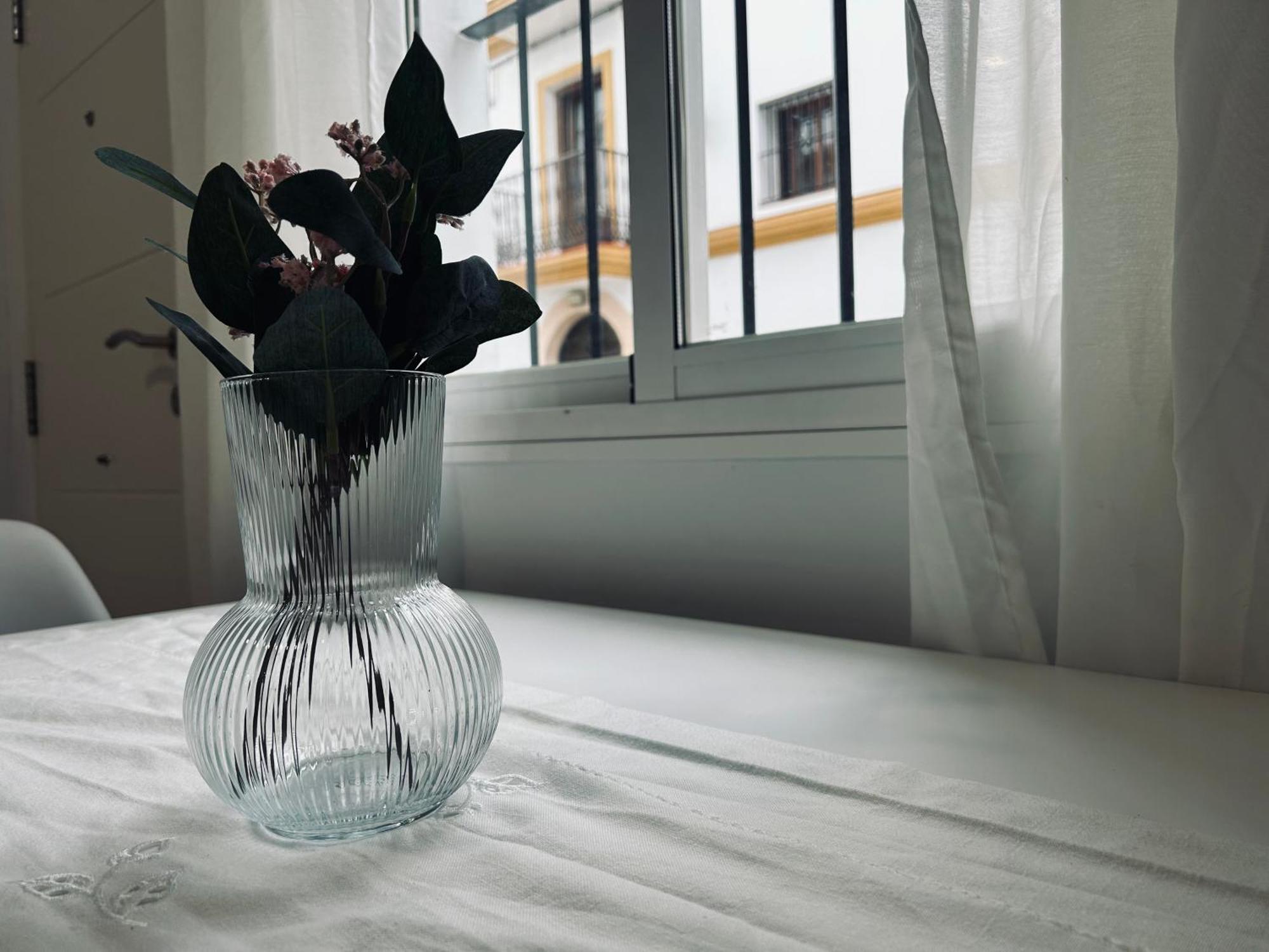 Apartamento Gades Conil A Кониль-де-ла-Фронтера Экстерьер фото